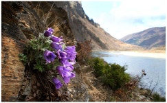 추천갤러리 - 아름다운 동강