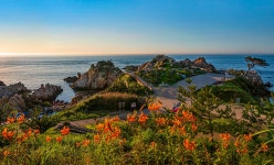 추천갤러리 - 대왕암의 나리꽃