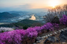 추천갤러리 - 아름다운 등산로
