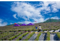 추천갤러리 - 행복한가족