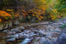 추천갤러리 - 진부령계곡