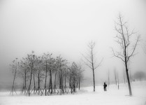 추천갤러리 - 꿈 속에서