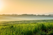 추천갤러리 - 안성 목장 초원