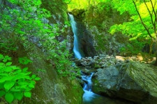 추천갤러리 - 매월폭포 2