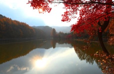 추천갤러리 - 입암저수지 소경