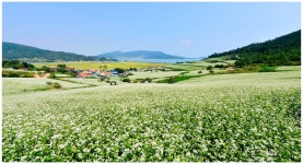 추천갤러리 - 선학동마을