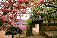 추천갤러리 - 선암사