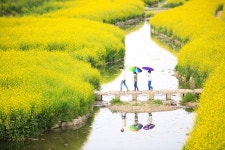 추천갤러리 - 오늘 대명천 입니다