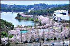 추천갤러리 - 은파 유원지