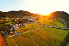 추천갤러리 - 묘도