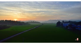 추천갤러리 - 들녘의 아침