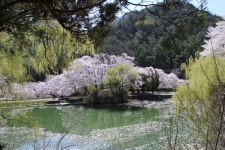 추천갤러리 - 거창의 덕천서원...