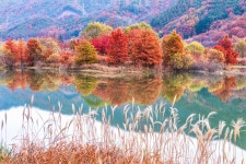 추천갤러리 - 주천의 가을