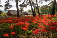 추천갤러리 - 석불산