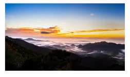 추천갤러리 - 여 명(오도산)