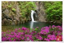 추천갤러리 - 용소폭포