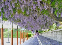 추천갤러리 - 인증샷