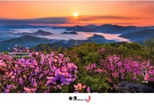 추천갤러리 - 강원도 山
