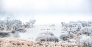 추천갤러리 - 춘천 소양3교 상고대