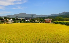 추천갤러리 - 고향