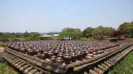 추천갤러리 - 서일농원