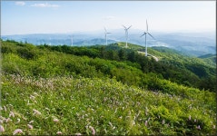 추천갤러리 - 태기산