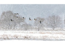 추천갤러리 - 경안천 풍경