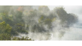 추천갤러리 - 호수의아침