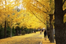 추천갤러리 - 거창의동마을에서..