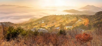 추천갤러리 - 비젼힐스 파노