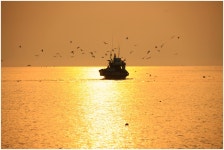 추천갤러리 - 귀 항