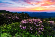 추천갤러리 - 덕유산