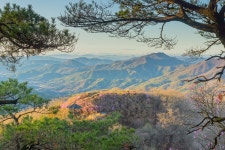 추천갤러리 - 아침에