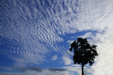 추천갤러리 - 가을 하늘