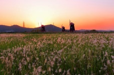 추천갤러리 - 노을 진 풍차