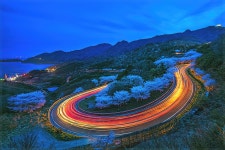 추천갤러리 - 학동 괘적