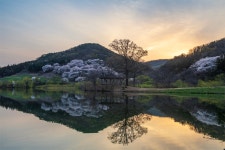 추천갤러리 - 용비지