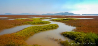 추천갤러리 - 황산도 갯골