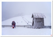 추천갤러리 - 눈천지 양떼목장에서,,,