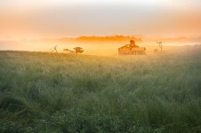 추천갤러리 - 안성목장