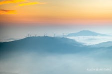 추천갤러리 - 영암 서광목장의 아침