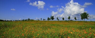 추천갤러리 -  Come September  추천갤러리 - &quot; Come September &quot;