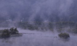 추천갤러리 -  물안개 피는 아침  추천갤러리 - " 물안개 피는 아침 "