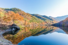 추천갤러리 - 추색 만연