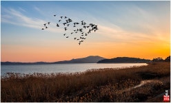 추천갤러리 - 금강노을