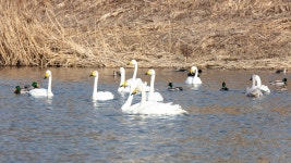 추천갤러리 - 경안천.