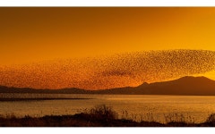 추천갤러리 - 금강하구둑