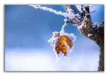추천갤러리 - 요산공원 상고대
