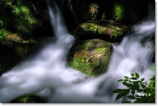 추천갤러리 - 상동계곡....