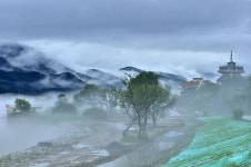 추천갤러리 - 강변의 - 풍경